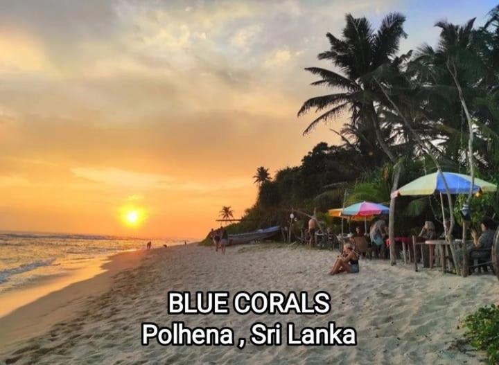 Blue Corals Beach Bungalow Матара Экстерьер фото
