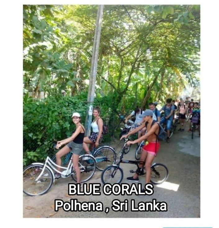 Blue Corals Beach Bungalow Матара Экстерьер фото