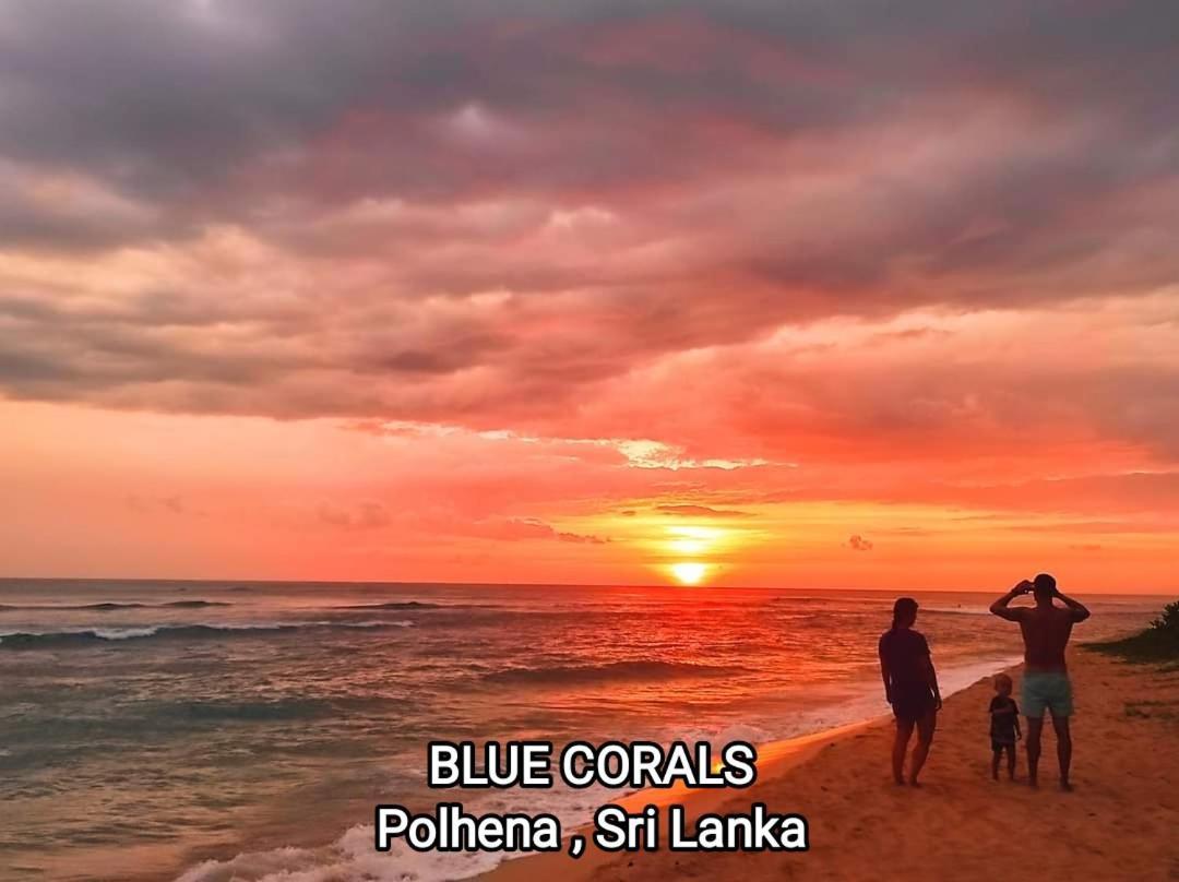 Blue Corals Beach Bungalow Матара Экстерьер фото