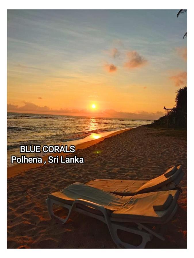 Blue Corals Beach Bungalow Матара Экстерьер фото