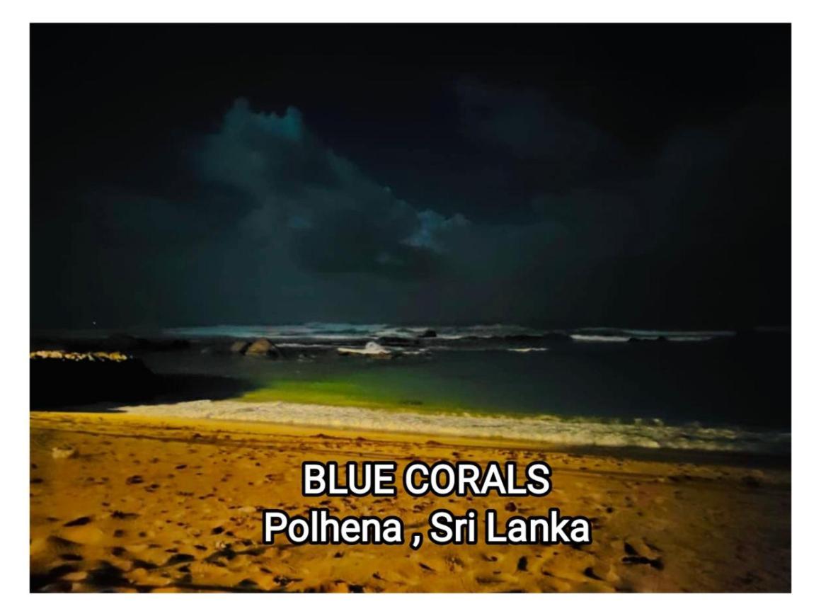 Blue Corals Beach Bungalow Матара Экстерьер фото