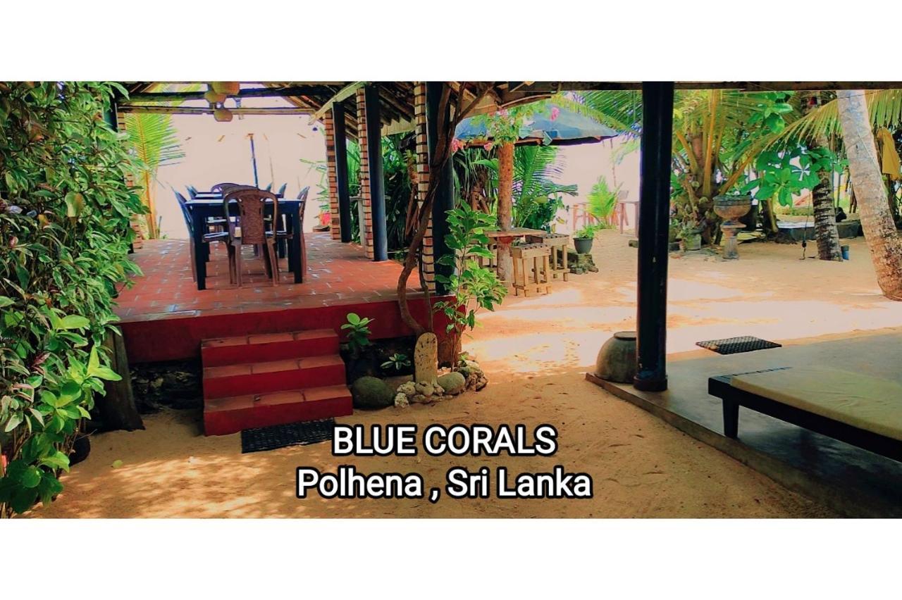Blue Corals Beach Bungalow Матара Экстерьер фото