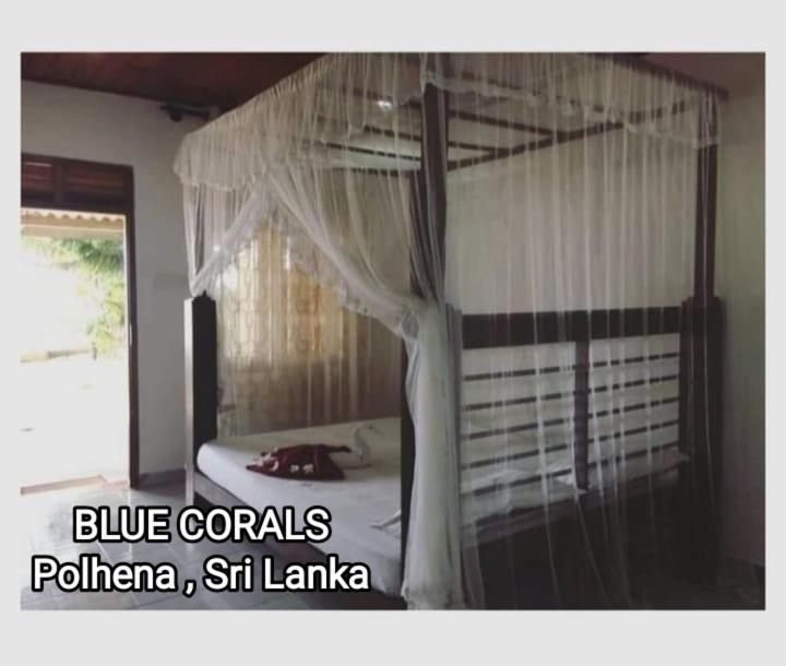 Blue Corals Beach Bungalow Матара Экстерьер фото