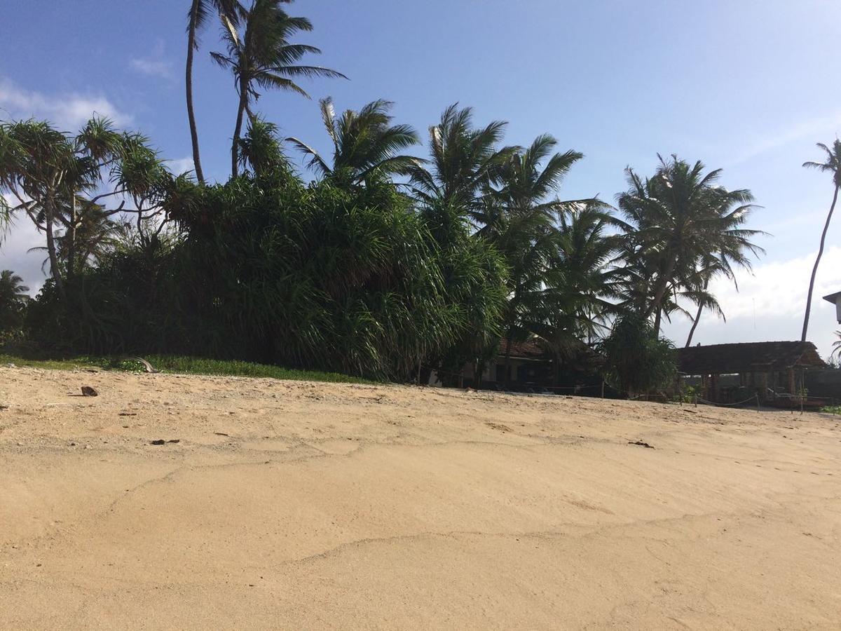 Blue Corals Beach Bungalow Матара Экстерьер фото
